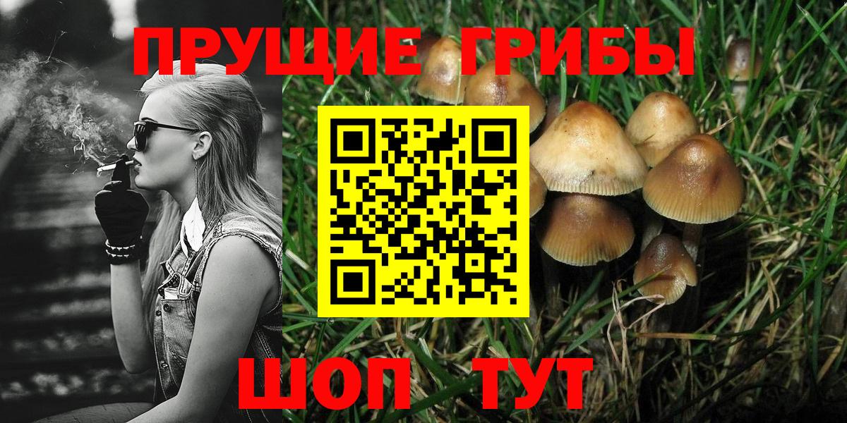 Галлюциногенные грибы мицелий Ухта