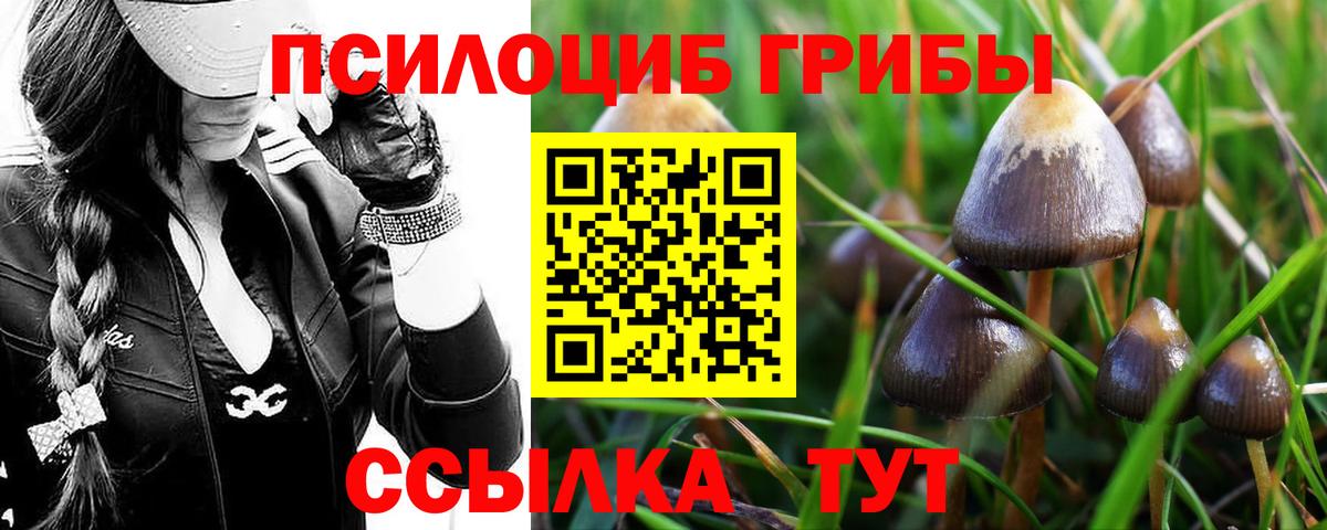 магазин продажи   Галлюциногенные грибы GOLDEN TEACHER  Псилоцибиновые грибы прущие грибы  Вход с VPN  Ухта 